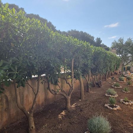 Apartmani Nena بوفليانا المظهر الخارجي الصورة