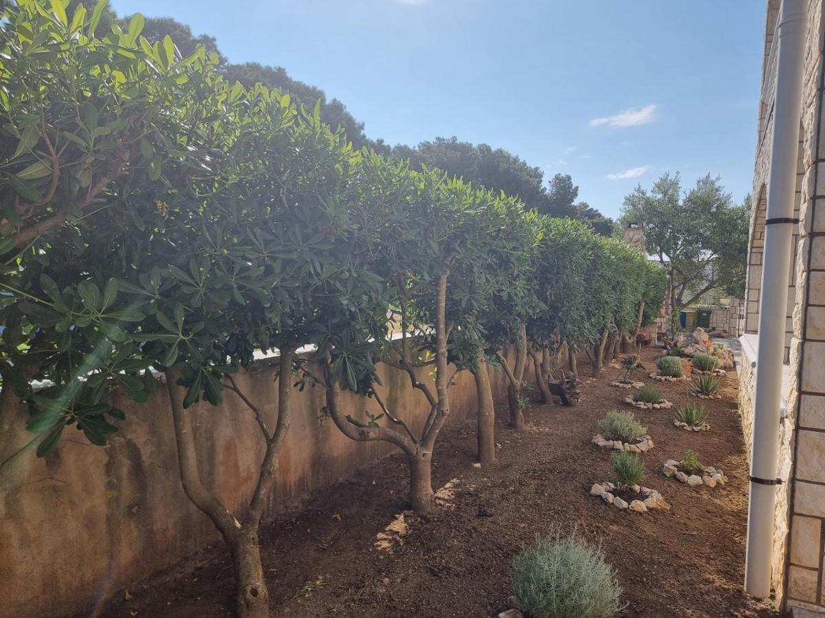 Apartmani Nena بوفليانا المظهر الخارجي الصورة